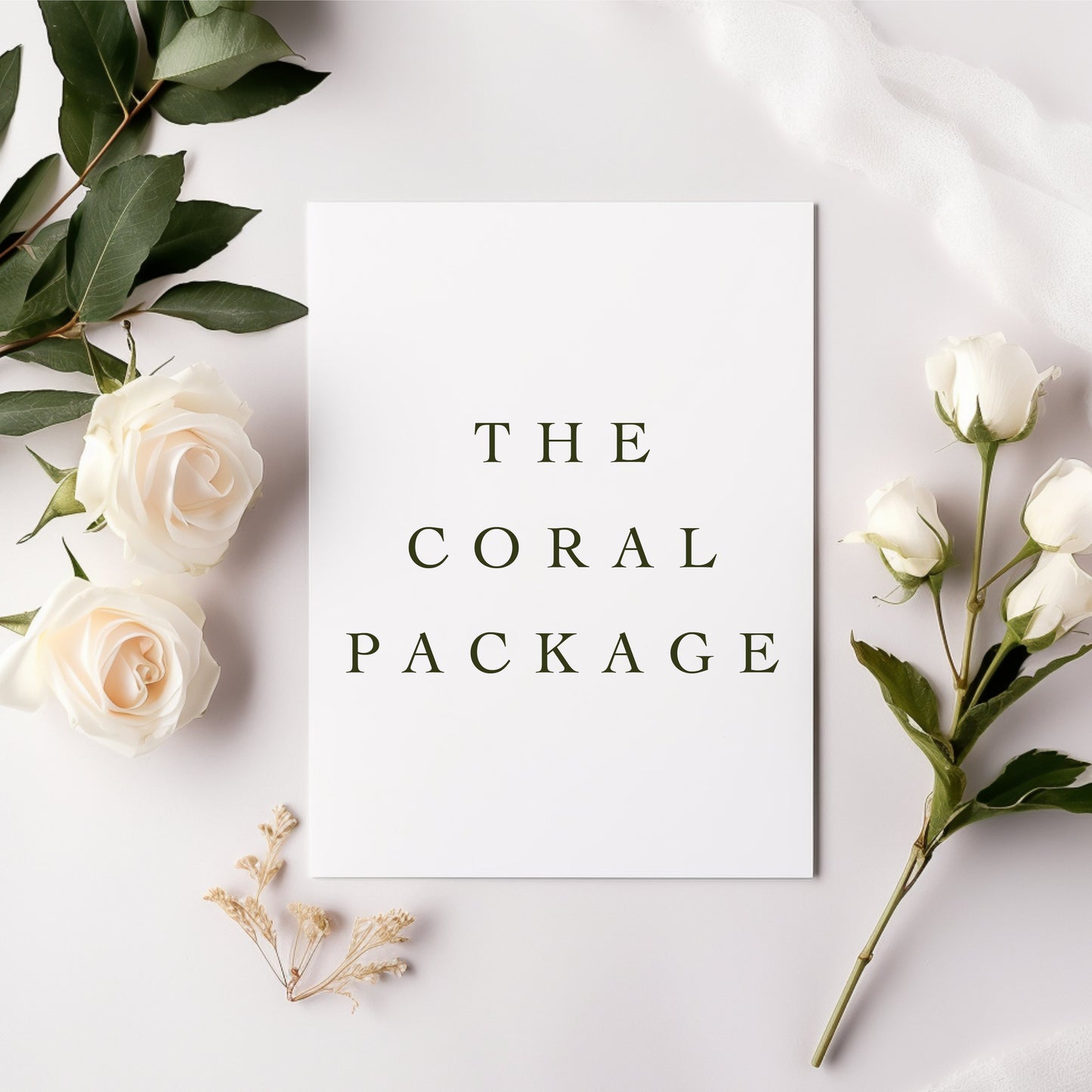 The Coral Package